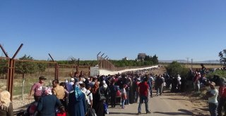 Suriyeliler Maraton Koşar Gibi Ülkelerine Gidiyor