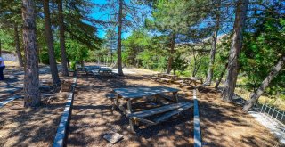 Battalgaziye 900 Dönümlük Yeni Tabiat Parkı Yapılıyor