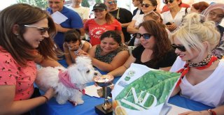 Hayvanseverler Pati Festivalinde Buluştu
