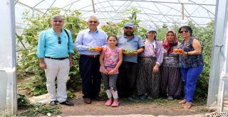 Manisa Büyükşehirin Projesi Üreticiye Kazandırdı