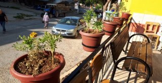 Başkan Özakcan, Kuloğulları Mahallesinin Çocuklarını Sevindirdi