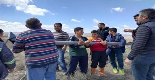 Evliya Tepesine Şehitler Anısına Türk Bayrağı Astılar