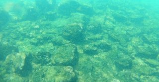 Van Gölünün Altında Yaşam Belirtileri