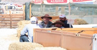 Celeplerin Umudu Arefe Gününe Kaldı