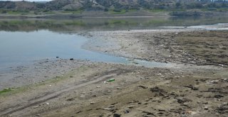 Denizlide Baraj Göletinde Toplu Balık Ölümleri