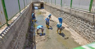 Ceylanpınar Belediyesi İle Dereler Daha Temiz