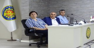 Ymm Şahinden Mali Müşavirlere ‘Siyaset Tavsiyesi