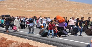 Suriyeliler Bayramlaşmak İçin Ülkelerine Gitmeye Başladı