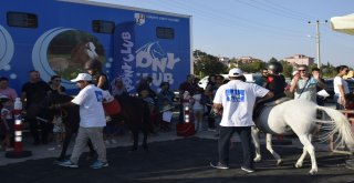 Minikler İlk Kez Ata Bindi