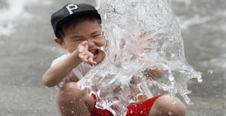 Güney Korede Aşırı Sıcaklar Ölümlere Neden Oluyor