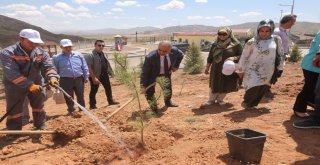 Çöp Sahası Yeşerecek