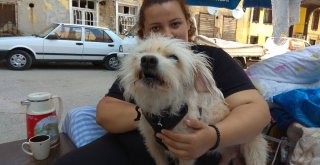 Kan Kanseri Anne Ve Obez Kızının Sokakta Hayatta Kalma Mücadelesi