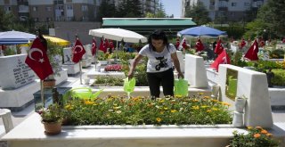 Şehit Yakınlarının Hüzünlü Bayramı