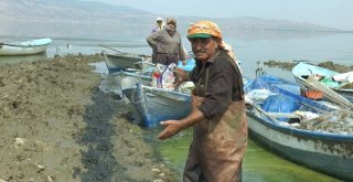 Denizi Olmayan Manisadan Uzak Doğuya Balık İhracatı