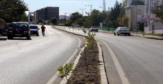 Kırklarelide Çevre Düzenleme Çalışmaları