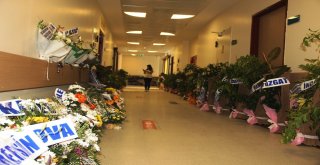 Dünyanın Her Yerinden Şanlıurfaya Çiçek Yağdı