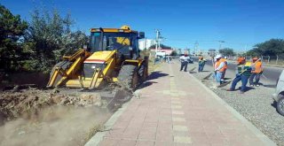 Gezici Temizlik Ekibi İş Başında