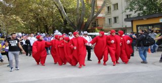 Ankarada “Pıhtıya Karşı Hareket Et” Sloganıyla Etkinlik