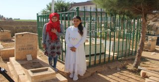 (Özel) Şehidin Yırtık Çoraplarıyla Türkiyeyi Ağlatan Kızları Kandile Türk Bayrağı Dikilmesini İstedi