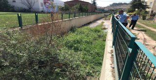 Zabıta Ekipleri Yavru Kediyi Kurtardı