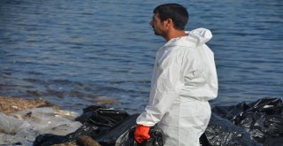 Denizdeki Petrol Sızıntısının Kaynağını Tübitak Da Araştırıyor