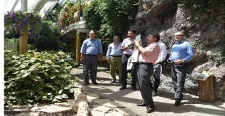 Büyükelçiler Konyada Tarihi Mekanları Gezdi