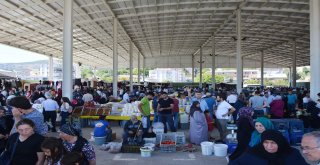 Suşehrinde Gurbetçi Yoğunluğu