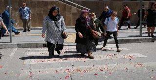 Yaya Geçitlerine Gül Yaprakları Dökerek Farkındalık Eylemi Yaptılar