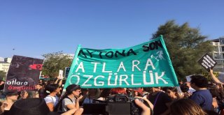 Büyükadada ‘Faytona Son, Atlara Özgürlük Eylemi