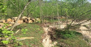 Prof. Dr. Aşkın: “Karadenizin Toprak Haritası Çıkarılmalı”