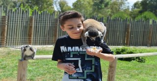 Doğal Yaşam Bayram Etti