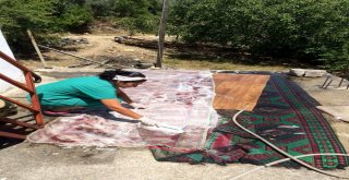 Gazipaşa Belediyesi Evde Sağlık Ve Bakım Hizmeti İle Gönüllere Giriyor