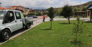 Melikgazide Haşaratla Mücadele Başladı