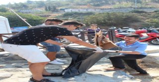 Aydında Ak Gençler Çevre Kirliliğine Dikkat Çekti