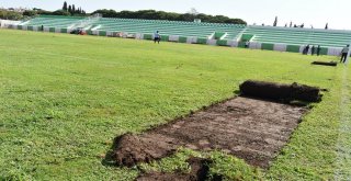 Salihlide Ramiz Turan Stadının Çimleri Yenileniyor