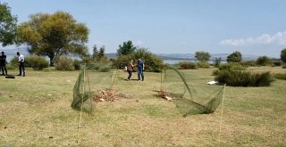 Kaçak Saka Kuşu Avlayan Turiste Ceza Yağdı