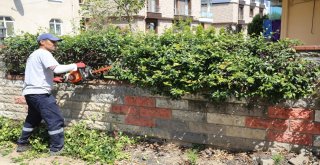 Altınordu Belediyesi Yolları Güvenli Hale Getiriyor