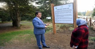 Uludağın 4 Noktasına Endemik Park