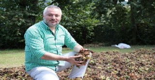 Sel Fındık Üreticisini Vurdu