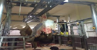 Demirözü İlçesine Modern Mezbahane