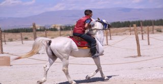Türk Oyunları Festivaline Yoğun İlgi