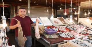 Tezgahlar Balıkla Doldu Taştı, Fiyatlar Yarı Yarıya Düştü