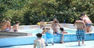Sıcaktan Bunalanlar Yüzme Havuzlarında Serinledi