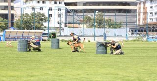 Jakem Komutanlığına Bağlı Köpeklerin Gösterileri Nefesleri Kesti