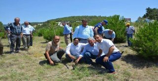 Selendide 15 Temmuz Şehitleri Hatıra Ormanı Oluşturuldu