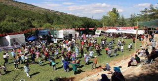 Kapaklıda Yayla Şenliği