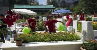 Şehit Yakınlarının Hüzünlü Bayramı