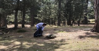 Dünya Çöp Toplama Gününde Yaylayı Temizlediler