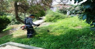 İzmit Belediyesinden Park Ve Yeşil Alanlarda Bakım Çalışması