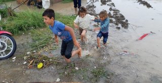 (Özel Haber) Mevsimlik İşçilerin Çadırlarını Sel Bastı, Çocuklar Son Anda Kurtarıldı
